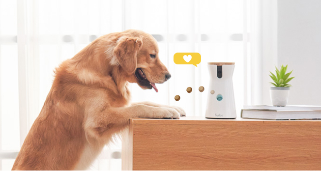 Furbo 360° Dog Camera | Treat-tossing Pet Camera with 360° view.